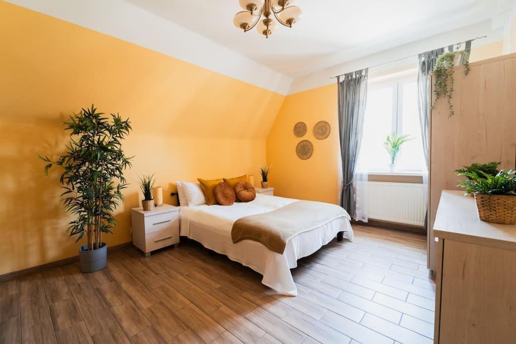 Market Square - Street Rynek 24 -2 Rooms Wrocław Exteriör bild