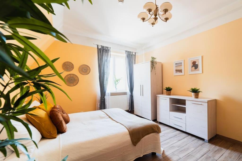 Market Square - Street Rynek 24 -2 Rooms Wrocław Exteriör bild